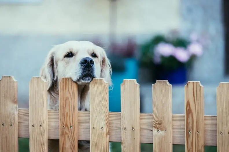 How Long Do Wood Fences Last in Cleveland, TX